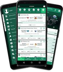 Experience Thrills and Wins at Betwinner Casino